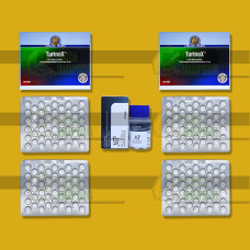 Курс Туринабол соло на массу 8 недель